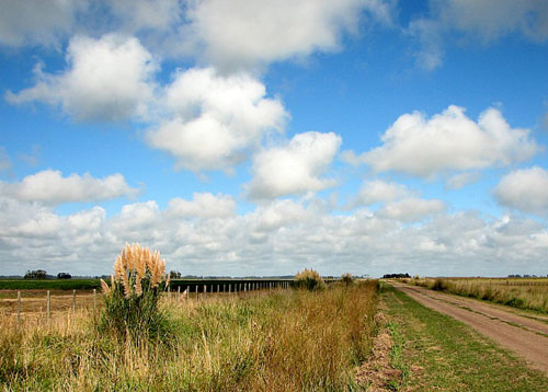 llanura-pampeana-campo